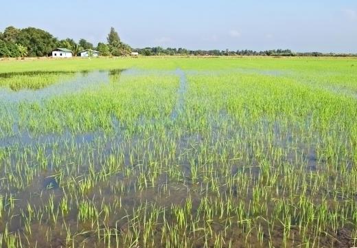 The Huang River Valley experienced seasonal flooding, which enriched the soil for farming.