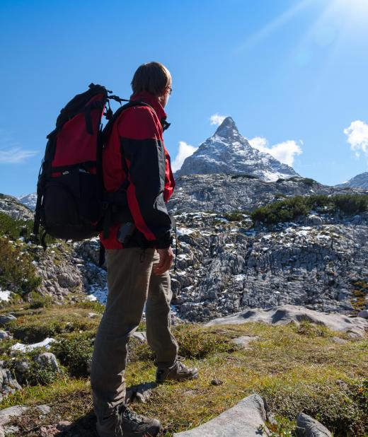 Hikers and walkers visit the Alps, especially during the summer months.