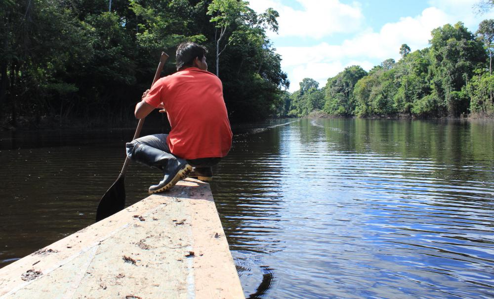 What Is the Amazon Basin? (with pictures)