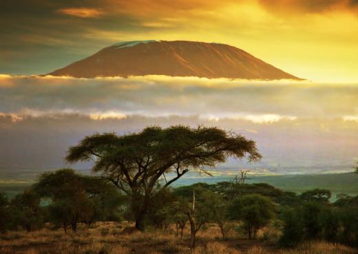 The Maasai people live in parts of Tanzania and Kenya.