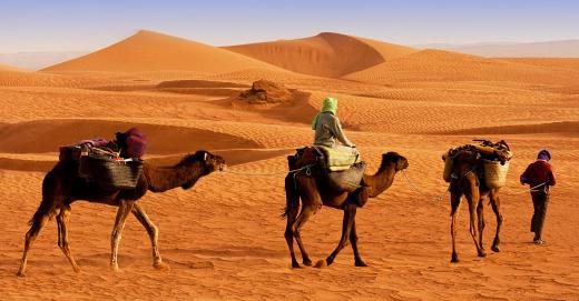 It is believed that what is now the Empty Quarter was once home to several cities that used caravans to trade among each other.