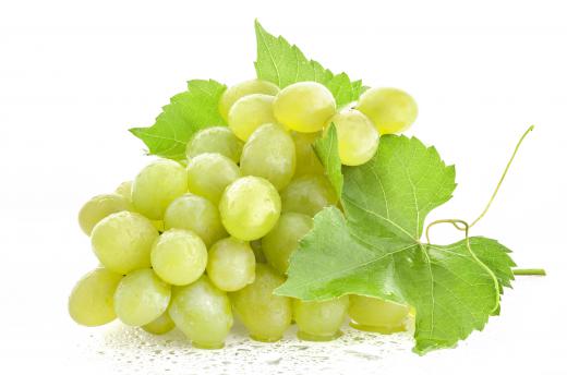 Grapes were grown in the Huang River Valley by early Chinese settlers.