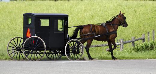 Old-Order Mennonites live simply and reject modern technology, such as automobiles, and instead travel by horse and buggy.