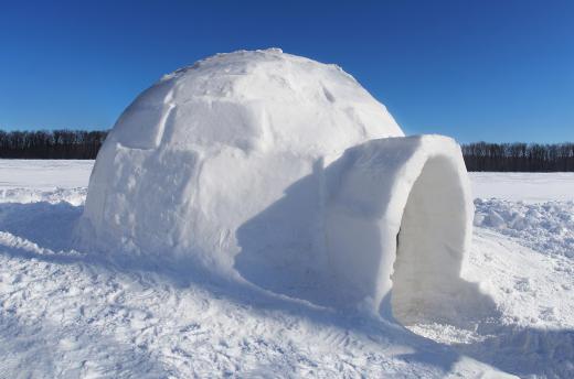 Igloos are built from blocks of compressed snow.