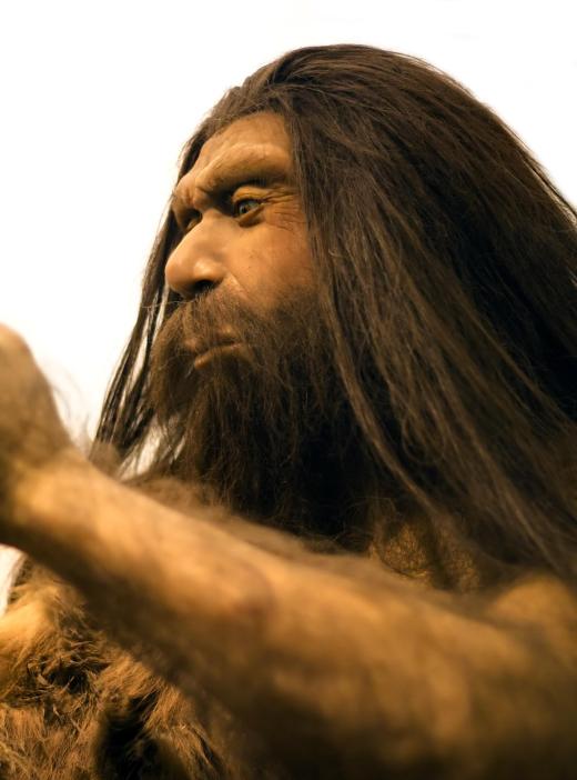 Some Yeti researchers have concluded that the cryptid is a descendant of Neanderthals.