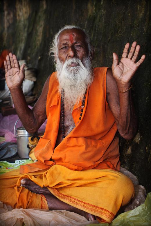 In the Hindu caste system, Brahmins are priests and scholars who study the sacred Vedic texts.