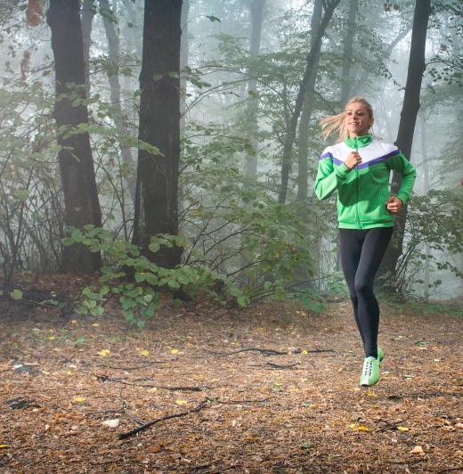 Ecotourism includes scenic trails for jogging.