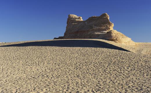 Mud lions, also known as yardangs, are created when winds repeatedly scour rock into shapes.